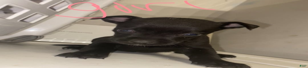 Mix