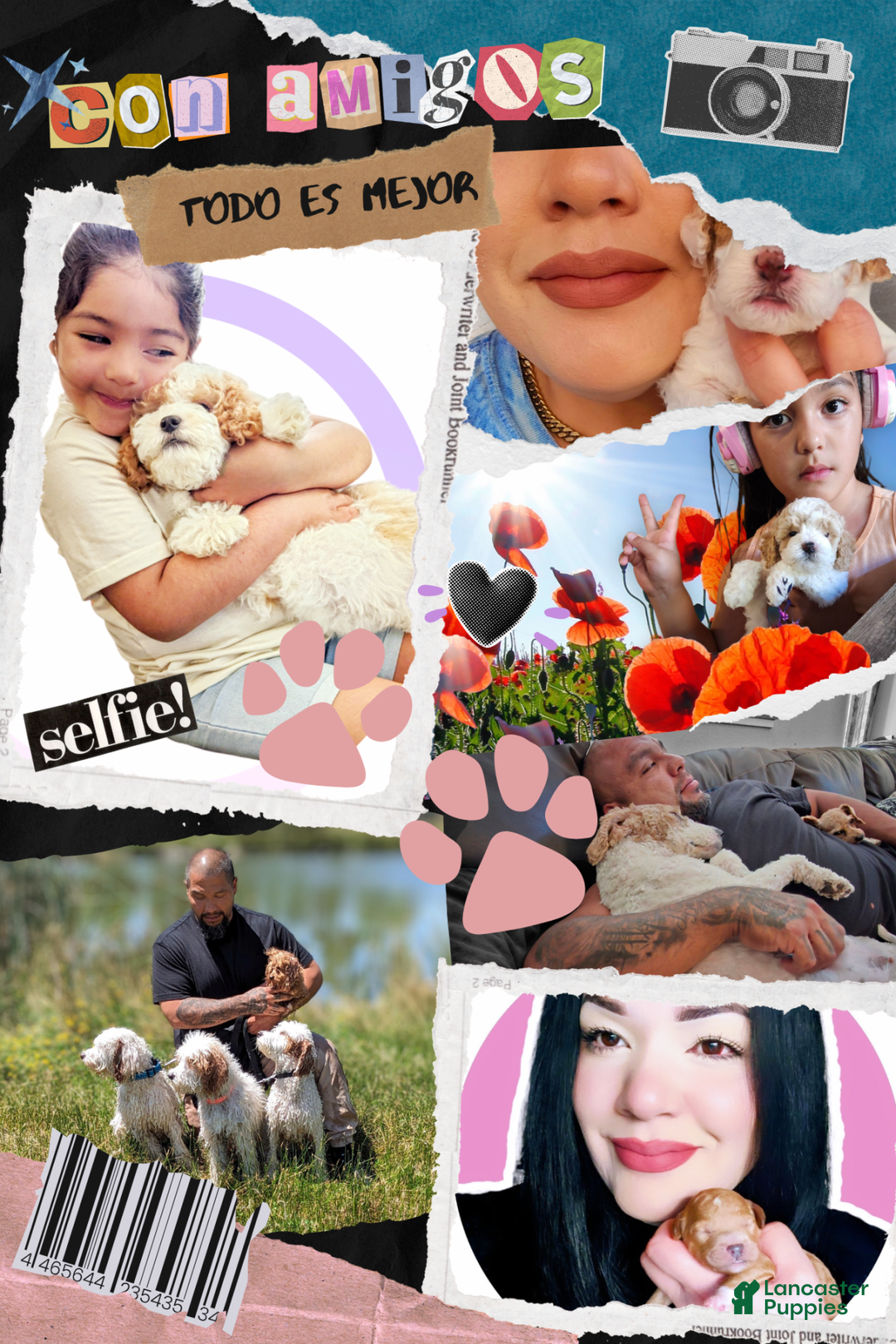 common:galleryImageAlt