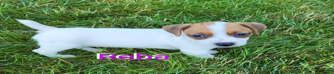 Reba