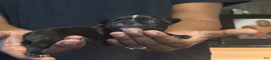 Female 1