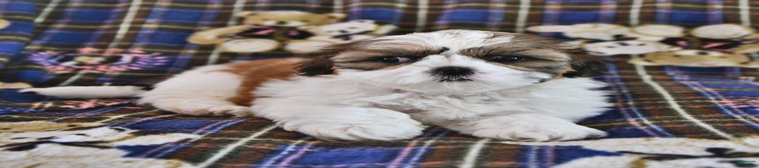 Bryn