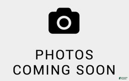 Mini Bernedoodle dogs for sale: 💙 Boston Ma 💙 Mini Bernedoodle - Image 1