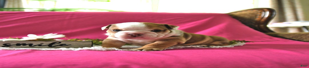 Kathy