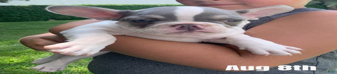 Rosie
