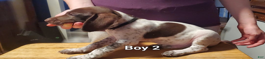 Boy 2