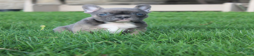 Keara