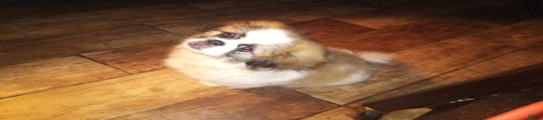 Charlie