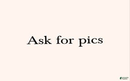 Maltipoo dogs for sale: Nicole - Image 6