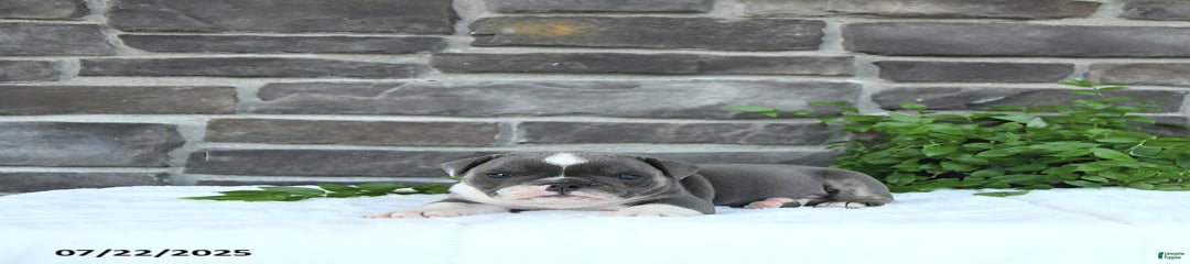 Charles