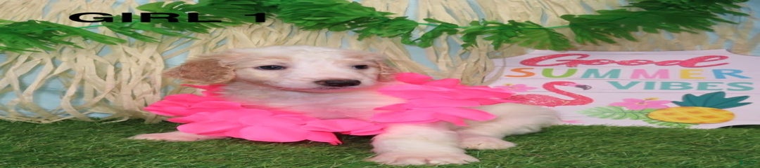 Pink Girl 2