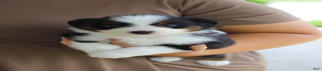 Zeke