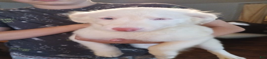 Pearl