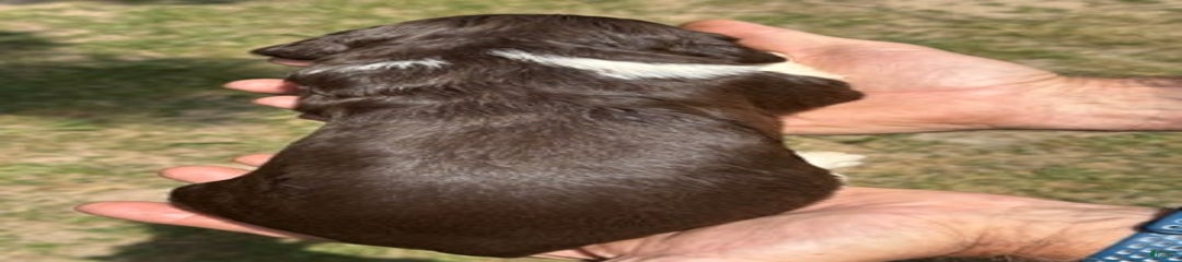 Male 1