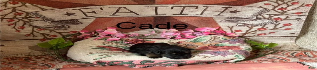 Cade