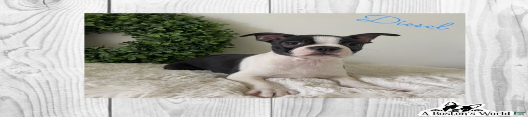 Diesel