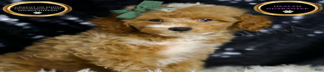 Toffee