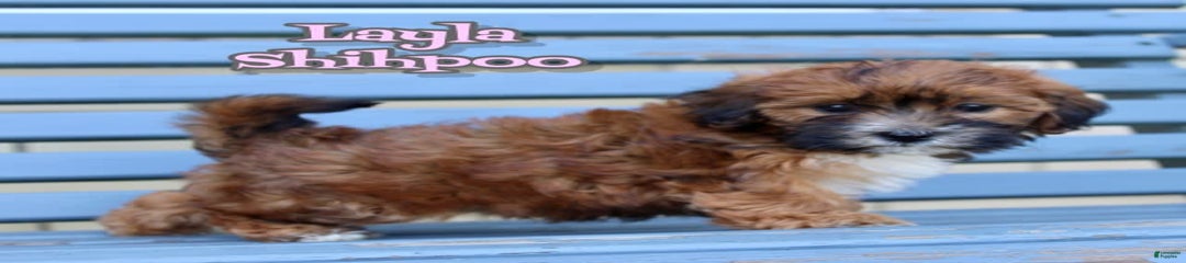 Layla