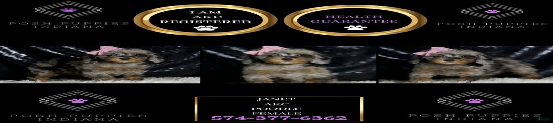 Janet