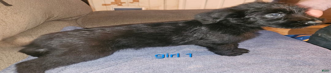 Girl 1