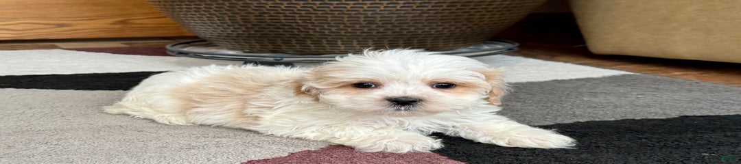 George