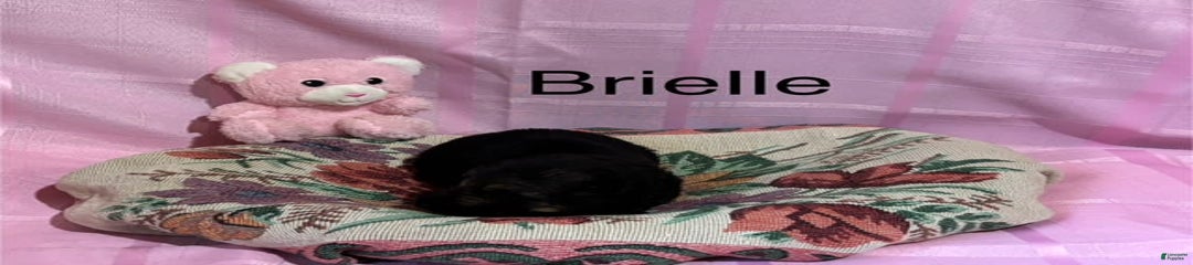 Brielle