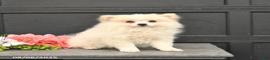 Winnie