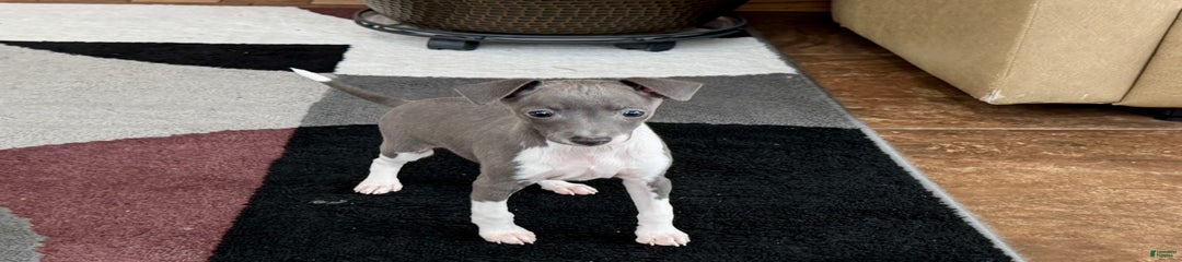 Rhonda